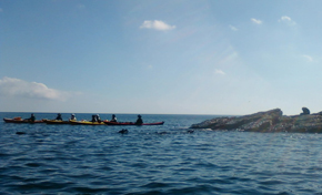 School students observe seals at RApid Bay